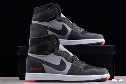 Air “Bred” Gore-Tex 1 Element Jordan DB2889-002 0901